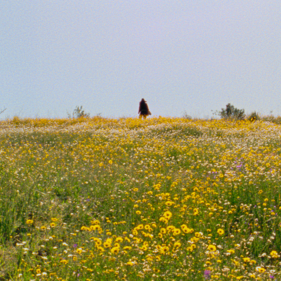 CONCORSO INTERNAZIONALE